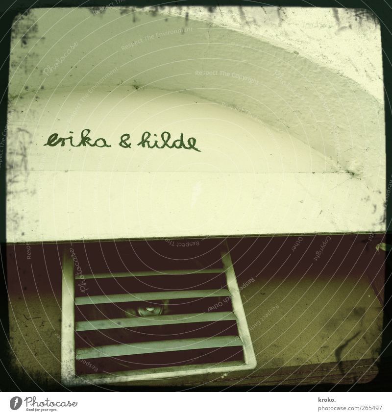 Erika & Hilde Restaurant Athletic Green Happy Life Colour photo Subdued colour Exterior shot Deserted Day Worm's-eye view