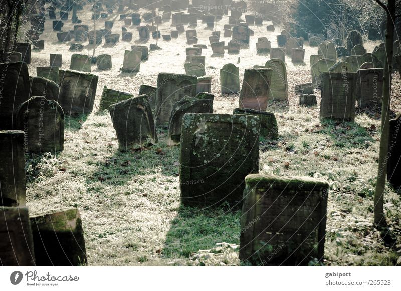 silent Cemetery Tourist Attraction Stone Tombstone Old Brown Green Emotions To console Sadness Pain Calm Death Grief Remember Eternity Muddled Subdued colour