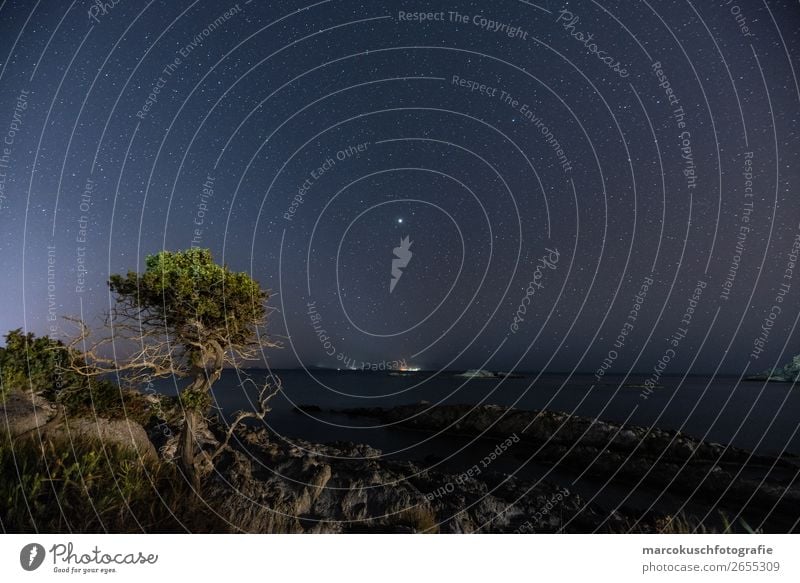 Sea view at night Environment Nature Landscape Water Cloudless sky Night sky Stars Summer Beautiful weather Tree Foliage plant Ocean Mediterranean sea Island