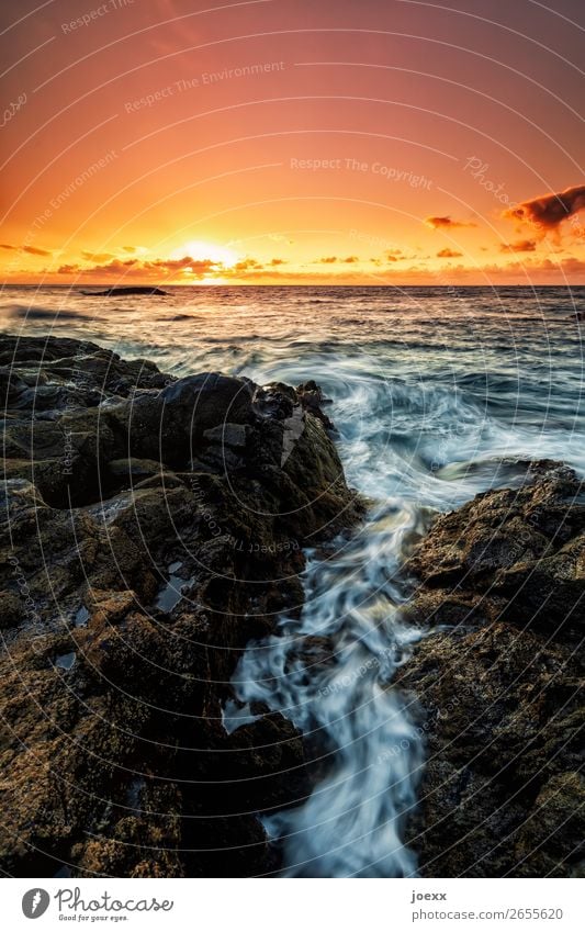 What you dream Far-off places Summer Ocean Nature Sky Clouds Beautiful weather Rock Waves Coast Island La Palma Maritime Warmth Brown Orange Black White