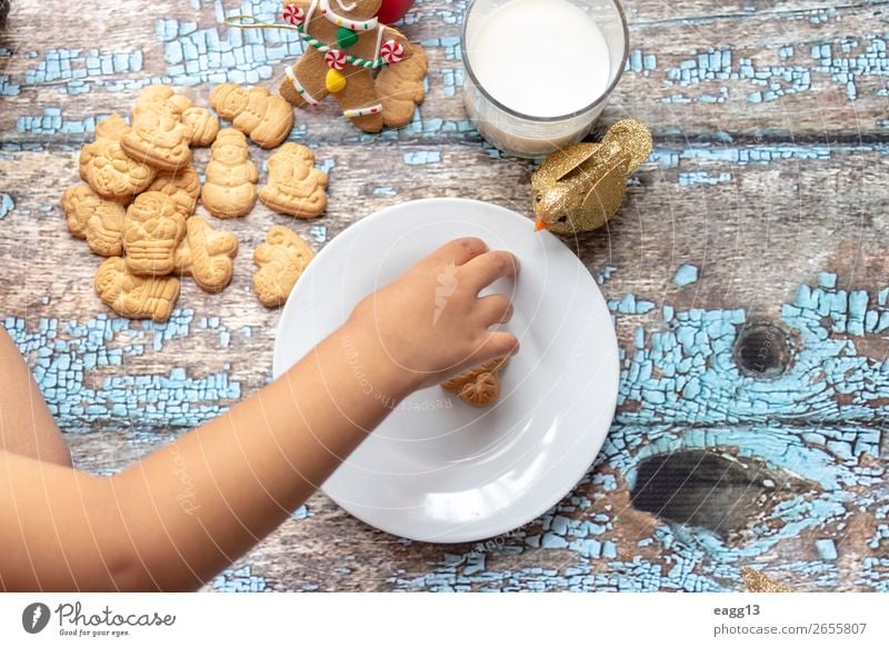 Cute little girl is playing with Santa's cookies Eating Lifestyle Joy Happy Beautiful Playing Winter Table Feasts & Celebrations Christmas & Advent Child