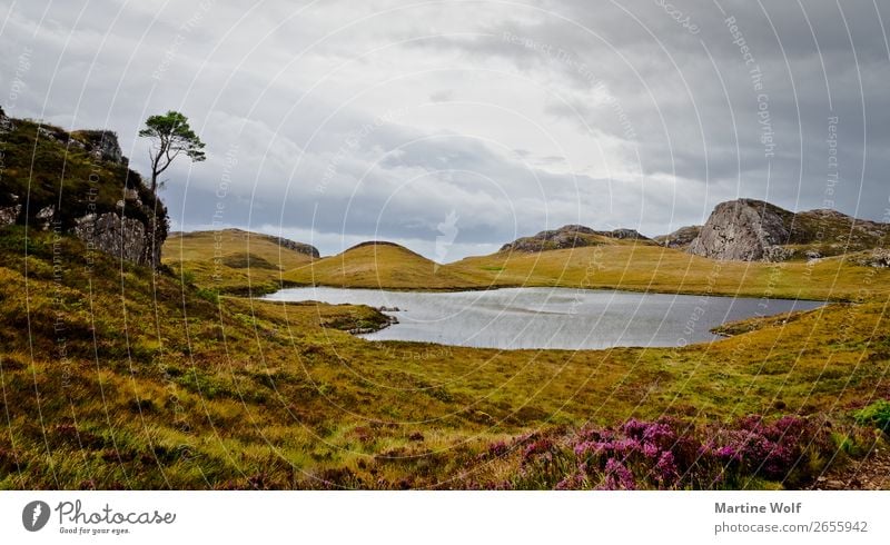 Ferry Lochs Nature Landscape Plant Clouds Autumn Lake Great Britain Scotland Europe Strong Power Gorß Great Britain Colour photo Subdued colour Exterior shot