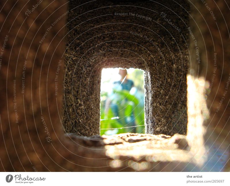 transparency Sun Sunlight Summer Beautiful weather Grass Stone Blue Gray Green Happiness Relaxation Perspective Light Vista Colour photo Exterior shot Sunbeam