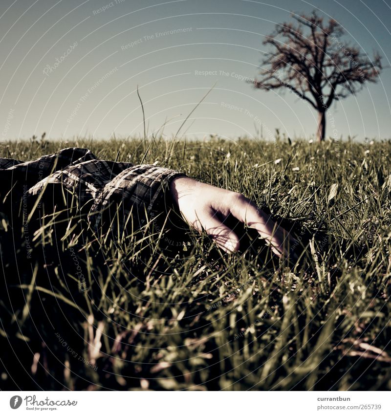 seven devils Nature Plant Sky Tree Grass Loneliness Stagnating Moody Grassland Hand Human being Meadow Treetop Colour photo Subdued colour Exterior shot