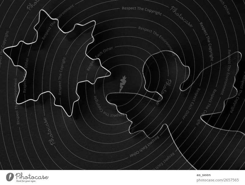 Angel and Star in the Dark Cookie cookie cutter Baking tin Lifestyle Style Design Harmonious Kitchen Christmas & Advent Metal Star (Symbol) Ice crystal Flying