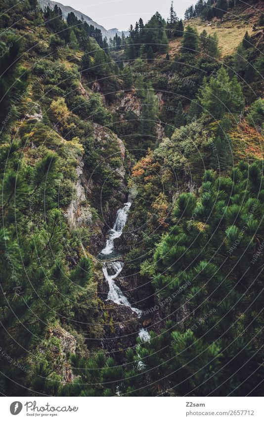 Waterfall Timmelsjoch Adventure Mountain Hiking Environment Nature Landscape Autumn Forest Alps Brook Esthetic Fresh Sustainability Natural Green Loneliness