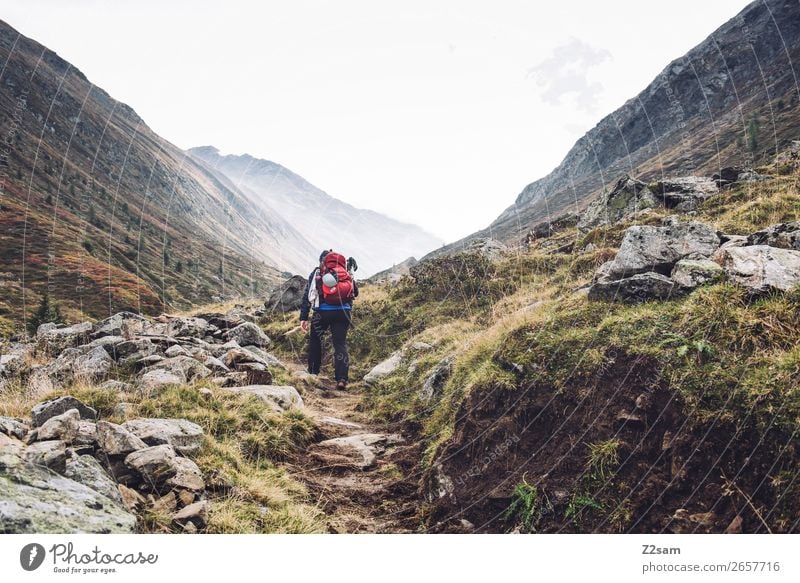 Ascent to the Timmelsjoch | E5 Vacation & Travel Adventure Hiking Young woman Youth (Young adults) 18 - 30 years Adults Nature Landscape Autumn Fog Meadow Alps