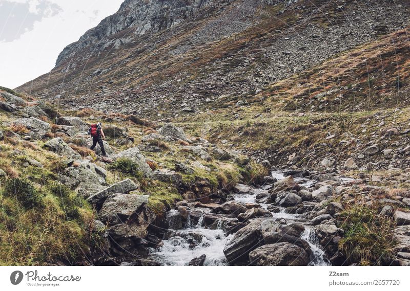 Young woman hiking in the Timmelsjoch | E5 Leisure and hobbies Vacation & Travel Adventure Hiking Youth (Young adults) Nature Landscape Autumn Rock Alps