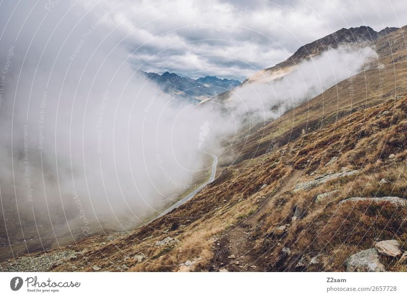 Timmelsjoch pass road | E5 Vacation & Travel Nature Landscape Sky Clouds Autumn Climate Climate change Alps Mountain Peak Street Gigantic Tall Sustainability