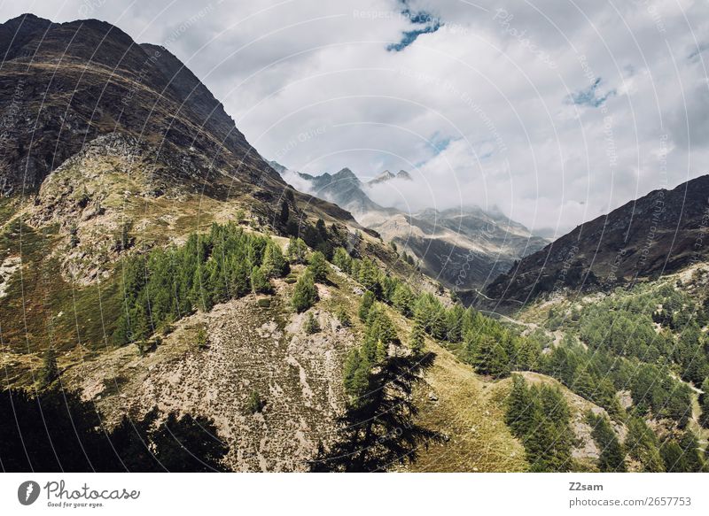 Alps | South Tyrol Adventure Hiking Nature Landscape Clouds Beautiful weather Mountain Peak Threat Gigantic Natural Green Loneliness Freedom Idyll