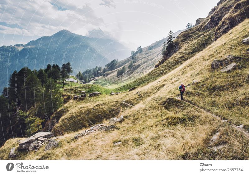 Young woman crossing the Alps | E5 Leisure and hobbies Vacation & Travel Adventure Hiking Nature Landscape Clouds Sunlight Beautiful weather Mountain Peak Fresh