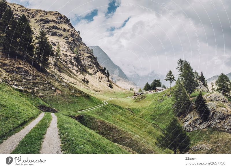 Hiking trail towards Timmelsjoch | E5 Adventure Nature Landscape Sky Clouds Sun Autumn Beautiful weather Tree Meadow Rock Alps Mountain Tall Natural Green