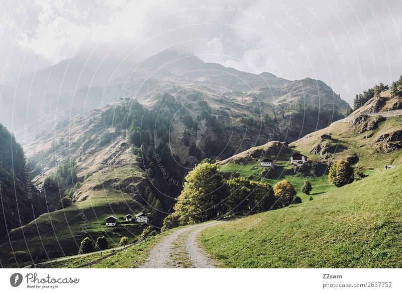 South Tyrol | Crossing the Alps Adventure Hiking Environment Nature Landscape Sun Autumn Beautiful weather Meadow Mountain Canyon Village Sustainability Natural