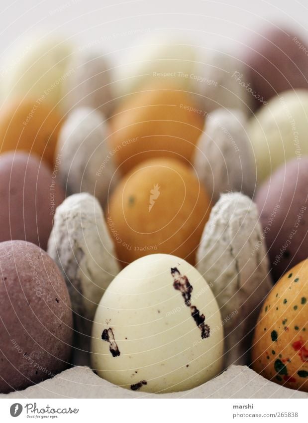 Easter egg yield Nutrition Breakfast Organic produce Vegetarian diet Brown Multicoloured Yellow Violet Easter egg nest Bird's egg Eggs cardboard Small Delicious