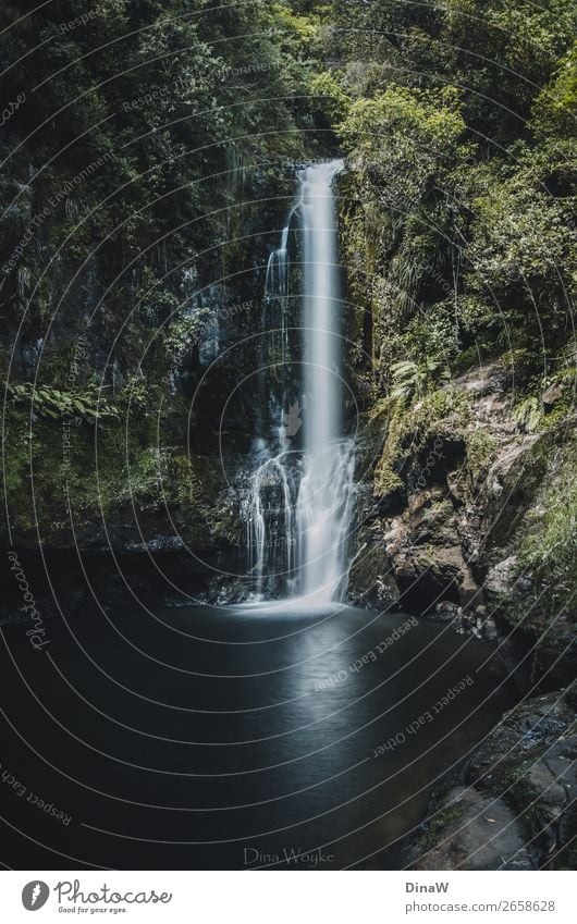 Jungle waterfall Vacation & Travel Adventure Nature Landscape Water Waterfall Discover Natural Blue Green Long exposure Travel photography Traveling New Zealand