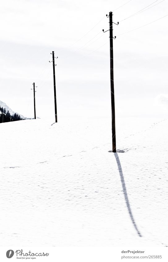 Matches on a ribbon Landscape Sky Sun Sunlight Winter Snow Hill Alps Mountain Deserted Wood Long White Unwavering Orderliness Purity Curiosity Electricity pylon