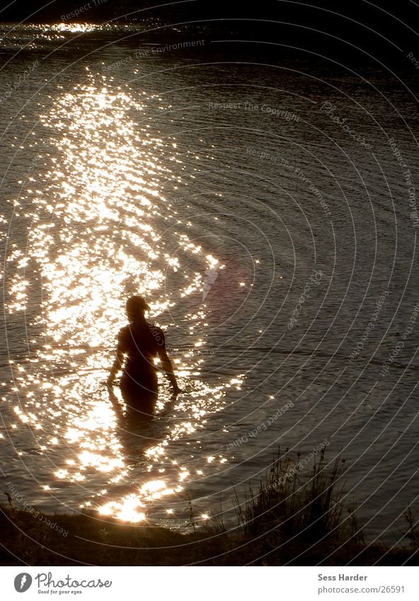 reflection Lake Reflection Shaft of light Composing Summer Swimming lake Swimming & Bathing Sun Water