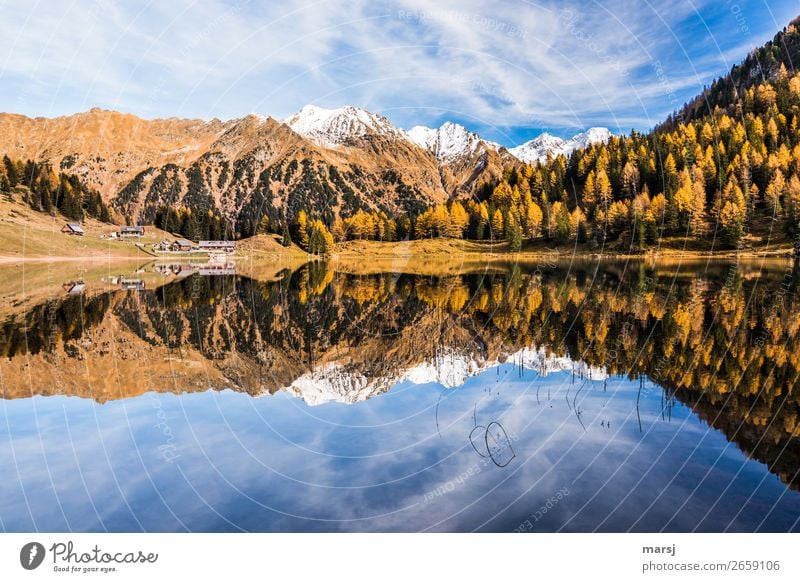 Duisitzkarsee in autumn Harmonious Relaxation Calm Vacation & Travel Tourism Trip Mountain Hiking Nature Autumn Beautiful weather Alps Snowcapped peak Lakeside