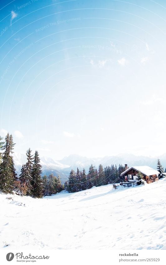 Switzerland | Switzerland | Suisse | Svizzera. Environment Nature Landscape Alps Mountain Cold Snow Winter Sunlight Hut Colour photo Exterior shot