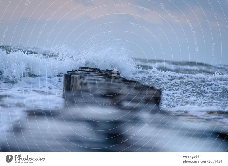 Autumn storm at the sea Nature Elements Air Water Drops of water Sky Clouds Horizon Weather Storm Wind Gale Waves Coast Beach Bay Baltic Sea Maritime Wet Swell