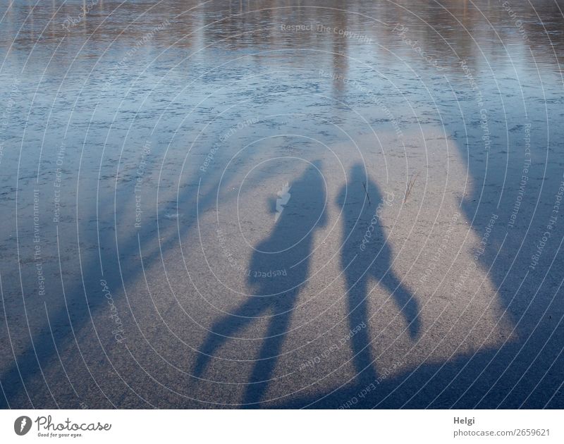 Shadow of two dancing people on an ice rink Leisure and hobbies Human being Feminine 2 60 years and older Senior citizen Environment Nature Winter