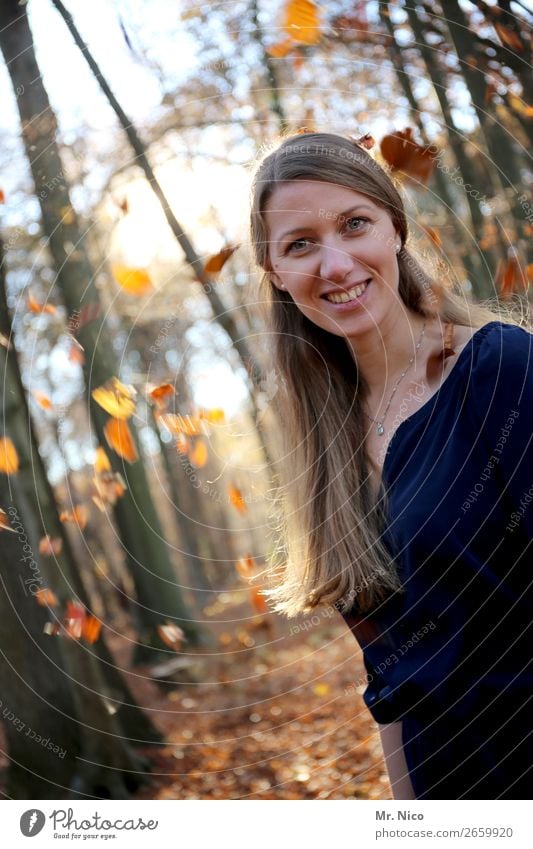 beginning of autumn Feminine Woman Adults 1 Human being Environment Nature Autumn Beautiful weather Tree Leaf Forest Dress Brunette Long-haired Smiling Laughter