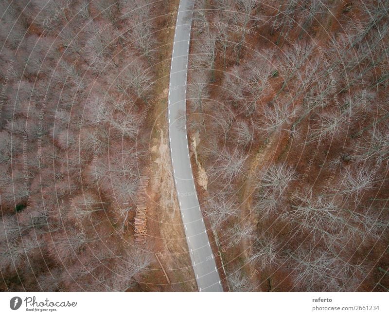 Aerial view of an empty road in the forest Beautiful Vacation & Travel Trip Adventure Nature Landscape Wind Tree Forest Street Aircraft Driving Exceptional