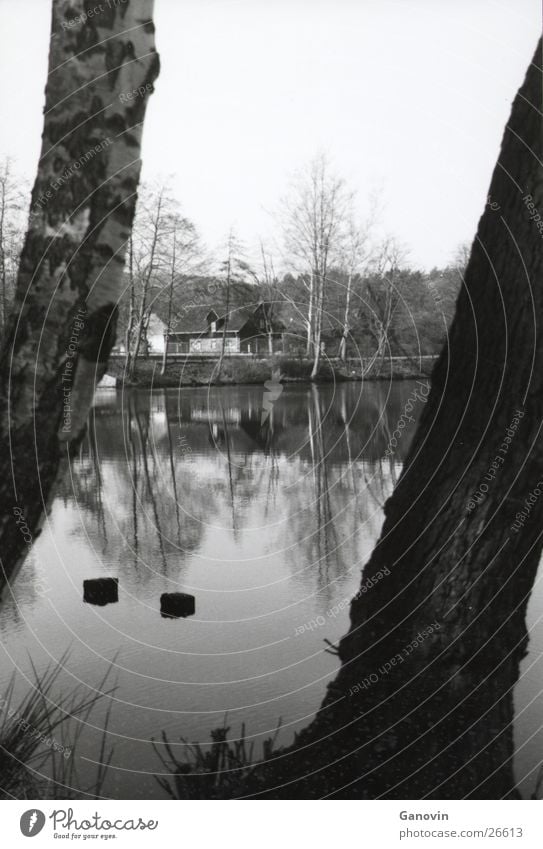 water mirroring Reflection Lake Black & white photo Water Perspective Nature