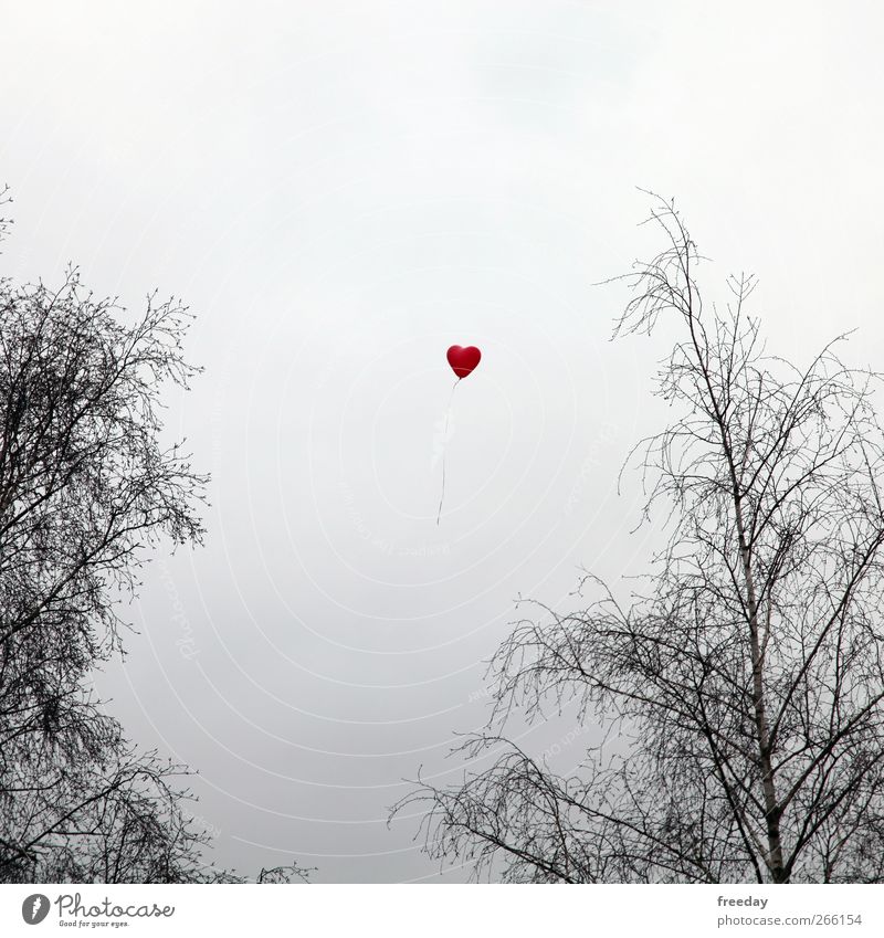 Air & Love Bad weather Tree Garden Park Meadow Field Sign Heart Flying Beautiful Red Emotions Infatuation Romance Hope Sadness Grief Lovesickness Longing