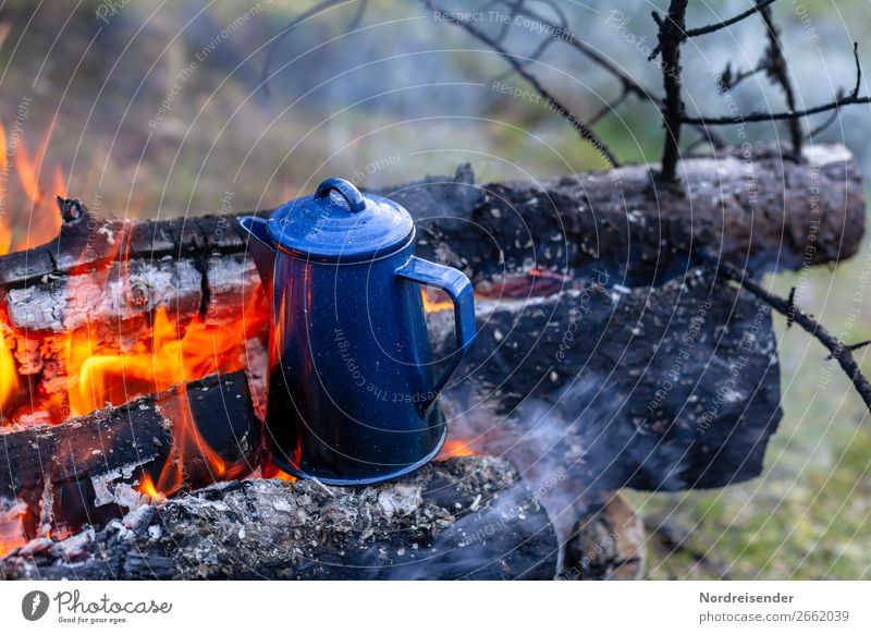 Surprise. Later coffee. To have a coffee Picnic Beverage Coffee Tea Crockery Vacation & Travel Adventure Freedom Camping Nature Elements Fire Forest Authentic