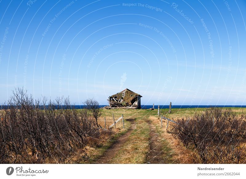 Old barn by the sea Vacation & Travel Ocean Agriculture Forestry Nature Landscape Water Bushes Meadow Coast Fishing village Ruin Manmade structures Building