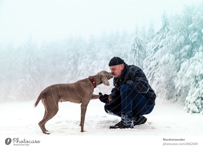 On the road in the winter forest Trip Freedom Winter Snow Winter vacation Hiking Christmas & Advent New Year's Eve Human being Masculine Man Adults Climate Fog