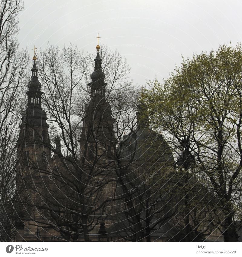 hidden behind trees... Architecture Culture Plant Sky Clouds Tree Park Fulda district Town Church Dome Manmade structures Building Church spire