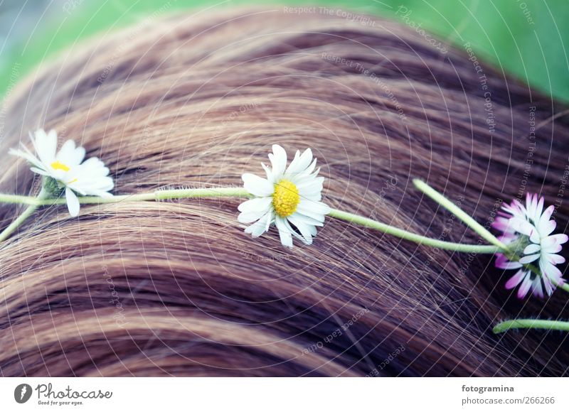 flower girl Lifestyle Style Happy Beautiful Hair and hairstyles Girl Young woman Youth (Young adults) Nature Plant To enjoy Violet Spring Spring fever