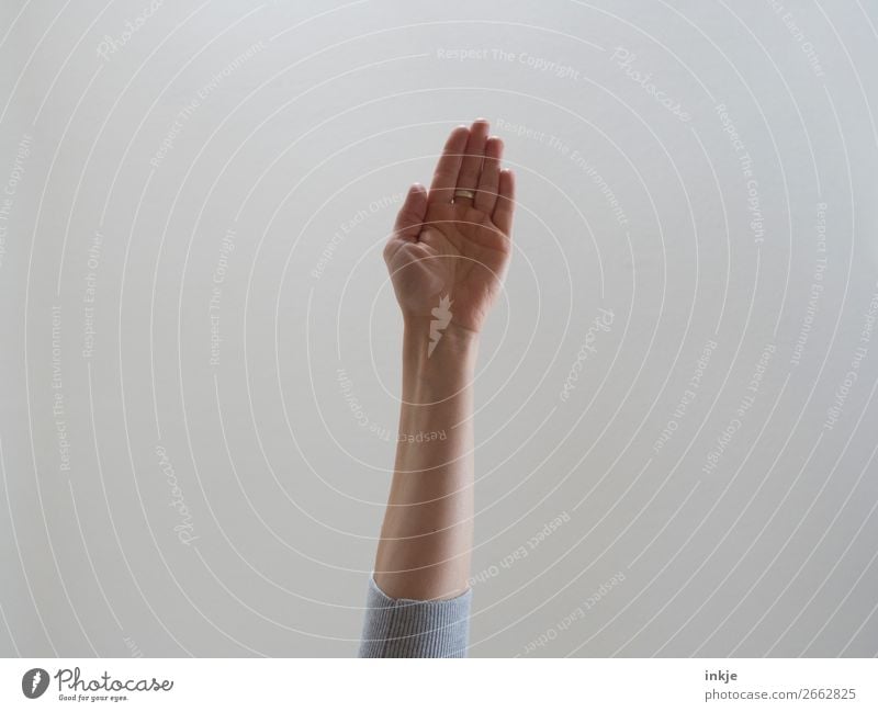 Trash | Palm Arm Hand 1 Human being Make Authentic Simple Communicate Palm of the hand Gesture Flat Outstretched Colour photo Subdued colour Interior shot