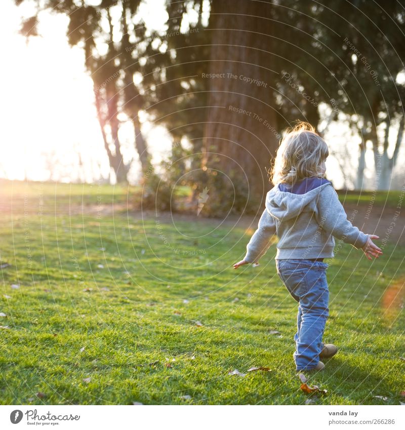 Come here! Come here! Wipe your hands!! Playing Trip Human being Feminine Toddler Girl Infancy 1 1 - 3 years Sun Beautiful weather Tree Park Meadow Running Joy