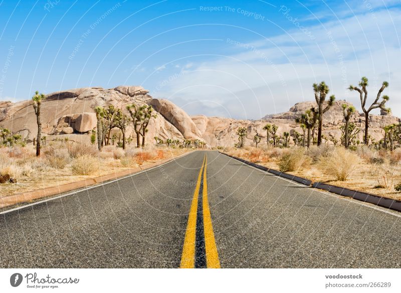 a road through the joshua tree national park Trip Adventure Summer Mountain Nature Landscape Clouds Sun Desert Street Highway Line Stone Horizon Perspective