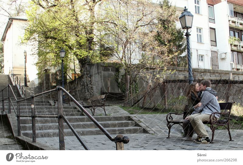 someone to hold. Happy Harmonious Senses Bench Valentine's Day Couple Partner Youth (Young adults) 2 Human being 18 - 30 years Adults Park Budapest Touch