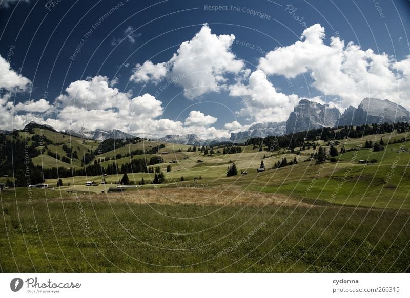 Alpe di Siusi Healthy Life Harmonious Well-being Relaxation Calm Vacation & Travel Tourism Trip Adventure Far-off places Freedom Hiking Environment Nature