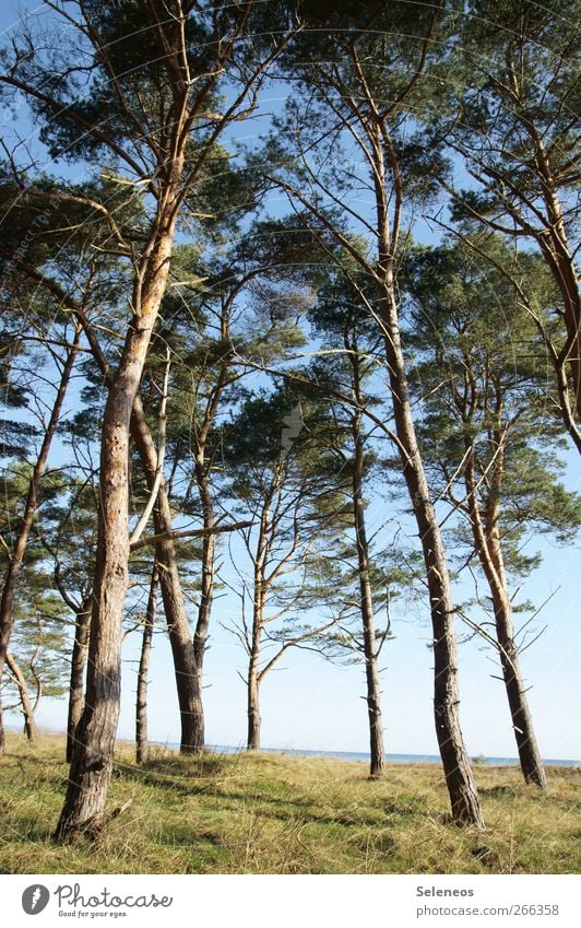 behind there Vacation & Travel Trip Adventure Far-off places Freedom Summer Sun Beach Ocean Island Environment Nature Landscape Water Sky Cloudless sky Spring