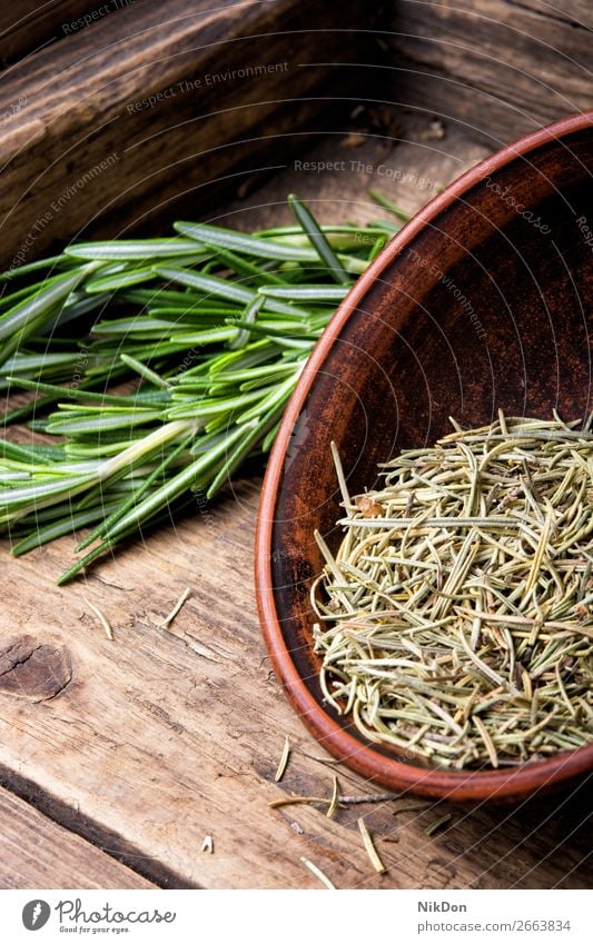 Fresh rosemary bunch plant herb green fresh food herbal healthy medicine spice raw branch leaf aroma seasoning aromatic twig fragrant flavor evergreen condiment