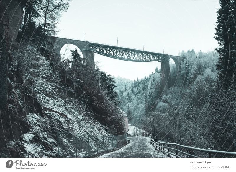 bridge Vacation & Travel Winter Nature Landscape Saint Gallen Switzerland Bridge Gigantic Long Europe Frost Snow Valley Lanes & trails Forest Exterior shot Cold