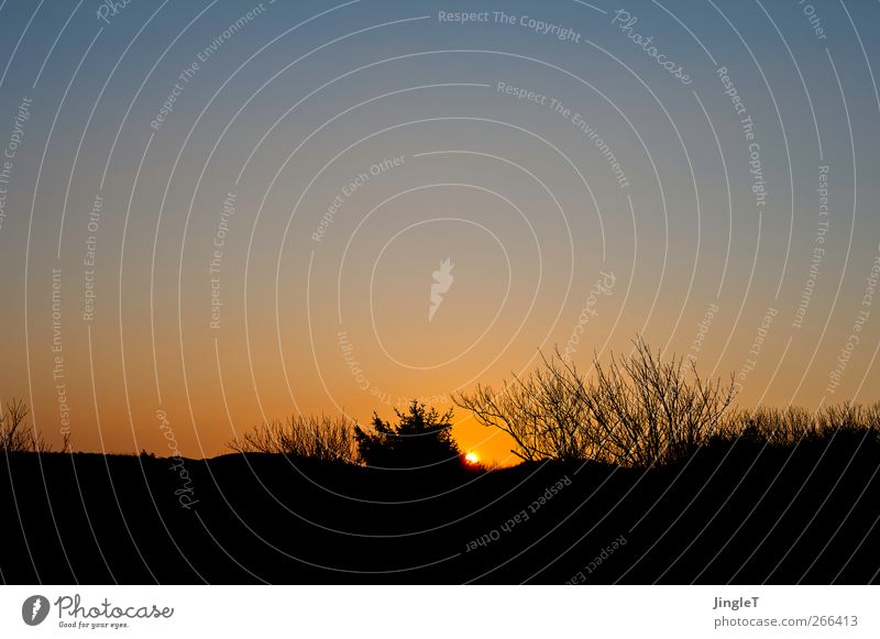 deceleration Colour photo Exterior shot Depth of field Gold Black Sun Sunset Twilight Back-light Silhouette Dune Beach dune Ameland Vacation & Travel