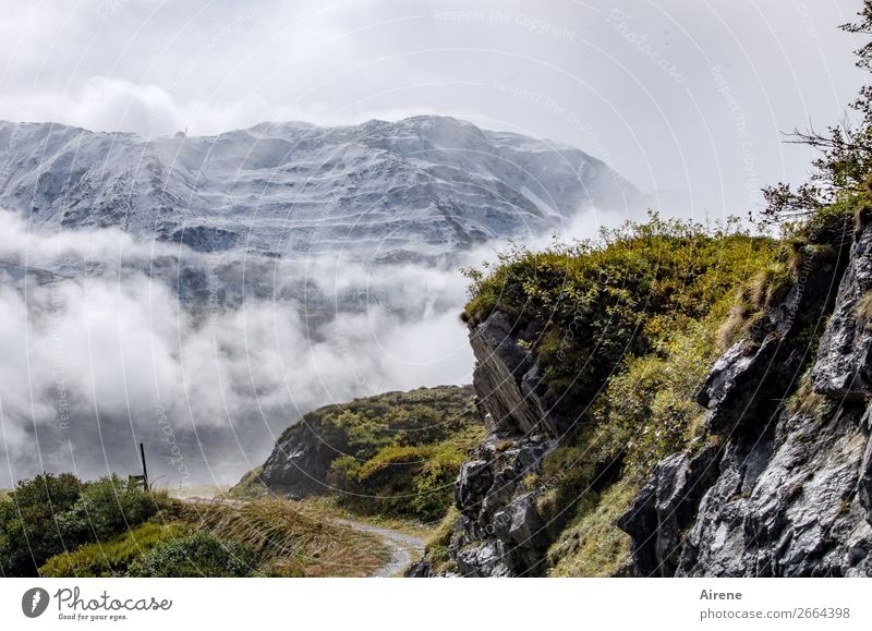 seasonal border Snow Mountain Hiking Landscape Clouds Autumn Weather Fog Moss Rock Alps Mount Arlberg Snowcapped peak Mountain meadow