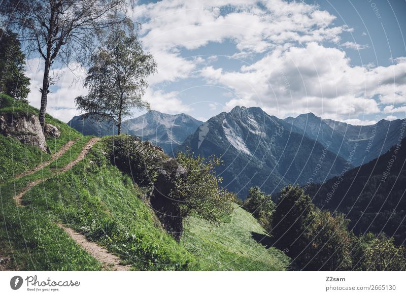 Mountain panorama in South Tyrol Hiking Nature Landscape Sky Clouds Summer Beautiful weather Tree Alps Peak Natural Blue Green Idyll Sustainability Environment