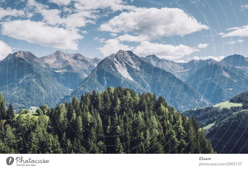 South Tyrolean Alps Mountain Hiking Environment Nature Landscape Sky Clouds Summer Beautiful weather Forest Peak Gigantic Sustainability Natural Blue Green