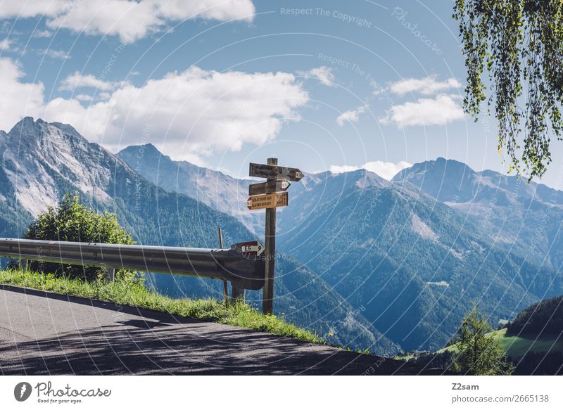 Hiking signs on the E5 long-distance hiking trail Climbing Mountaineering Nature Landscape Beautiful weather Alps Street Lanes & trails Road junction Tall