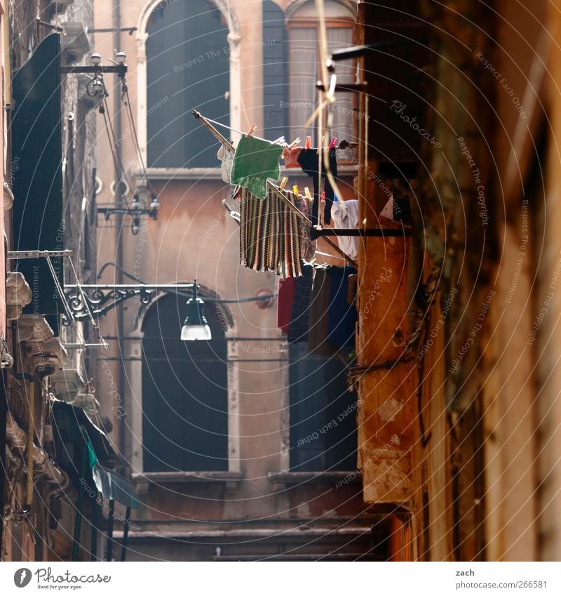 Venice Living or residing House (Residential Structure) Italy Village Old town Facade Window Alley T-shirt Laundry Clothesline Clean Brown Wash Colour photo