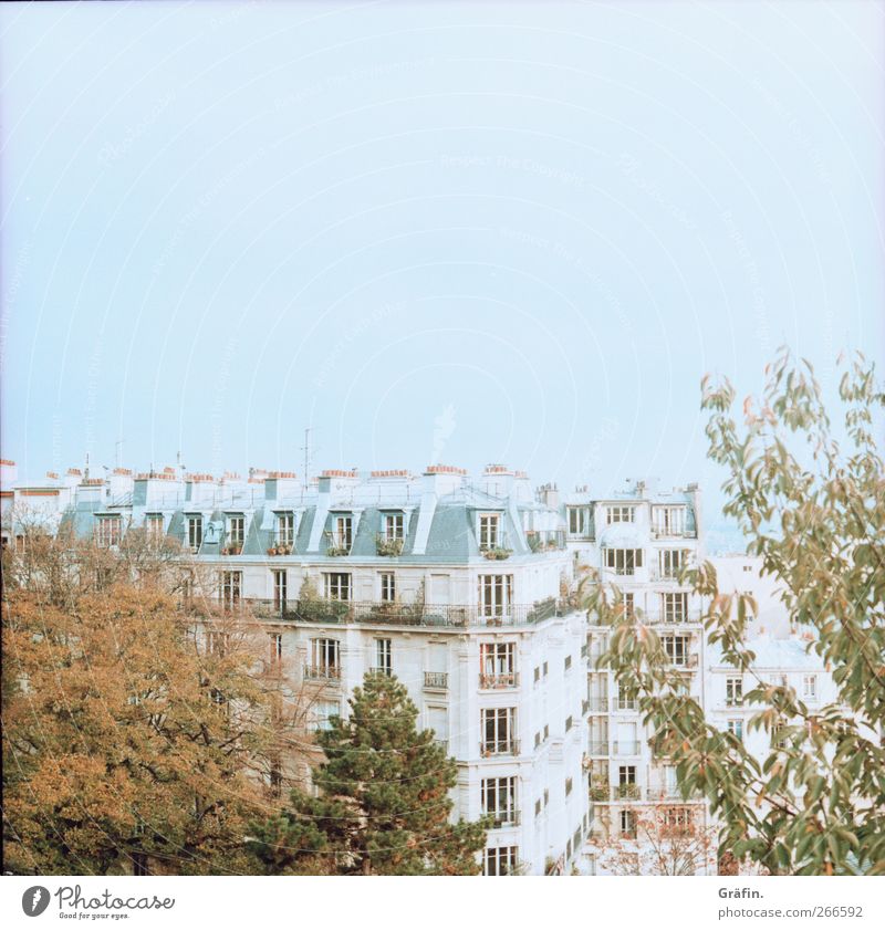 Above the roofs of Paris Vantage point Sky Residential area Tree Window Architecture Colour photo Blue Green Brown Far-off places