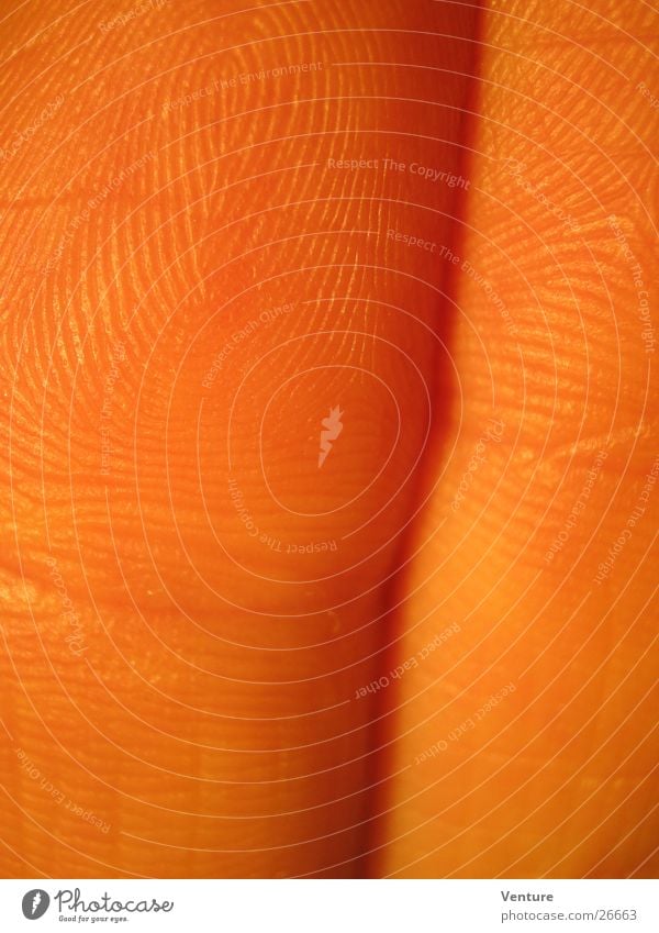 neighbors Fingers Fingerprint Hand Physics Evening sun Touch Human being Detail Limbs Skin Close-up Macro (Extreme close-up) Orange Warmth Senses